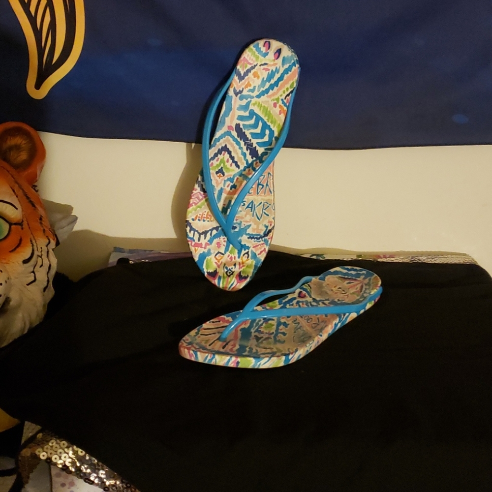 Flip Flops